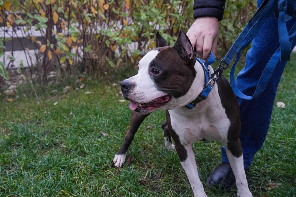     / Источник: © ИЗВЕСТИЯ/Андрей Эрштрем