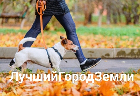 Иллюстрация автора с помощью ИИ