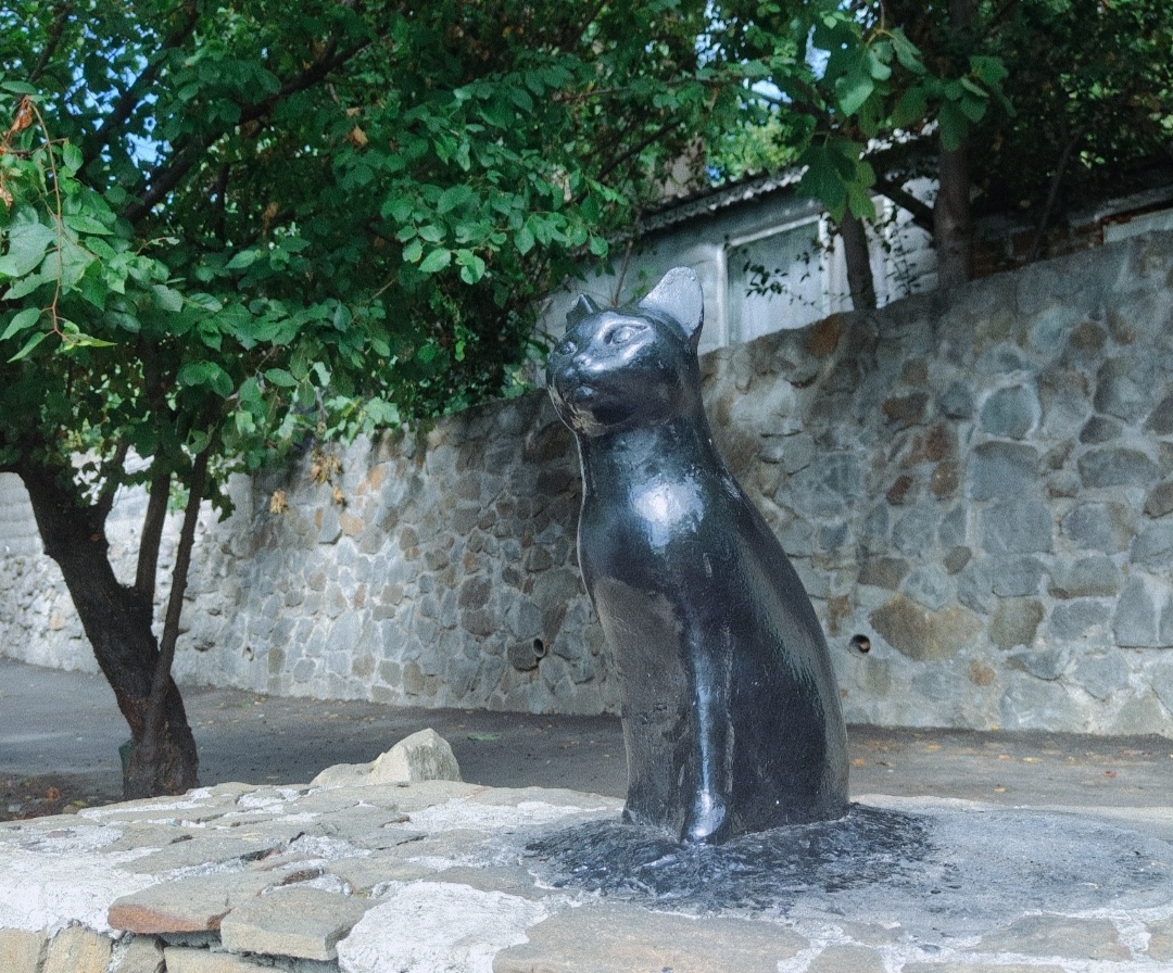 Фото автора