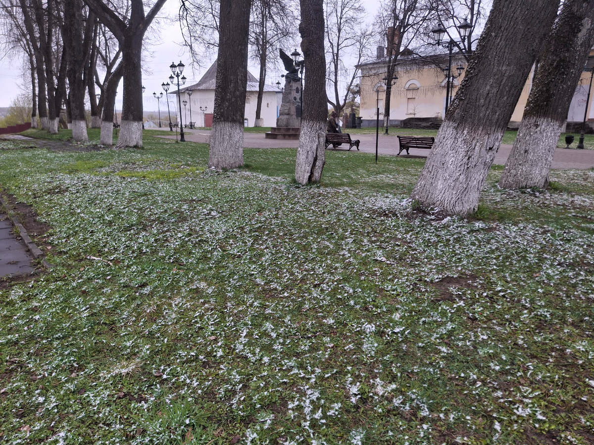 Фото автора канала
