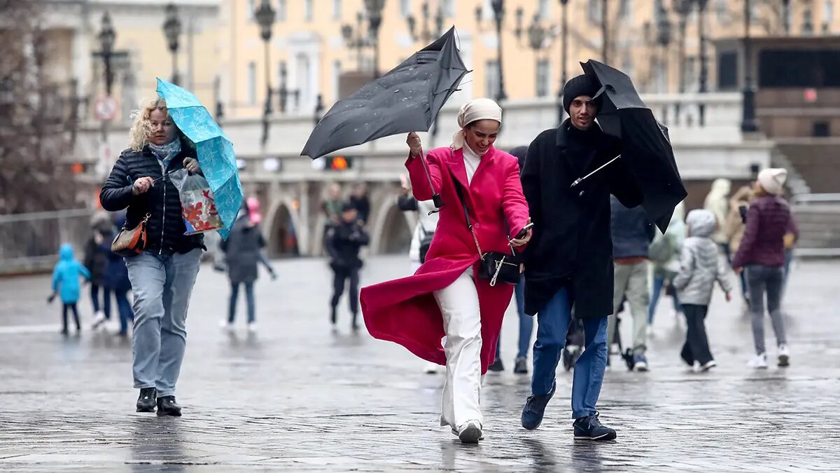    Источник: vm.ru/ Ульяна Лаптева