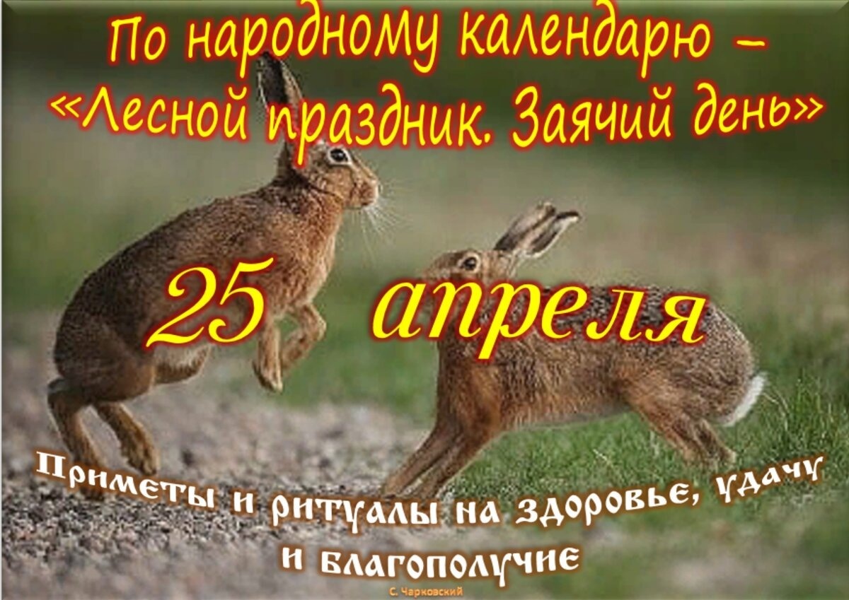 Встречаем новый день