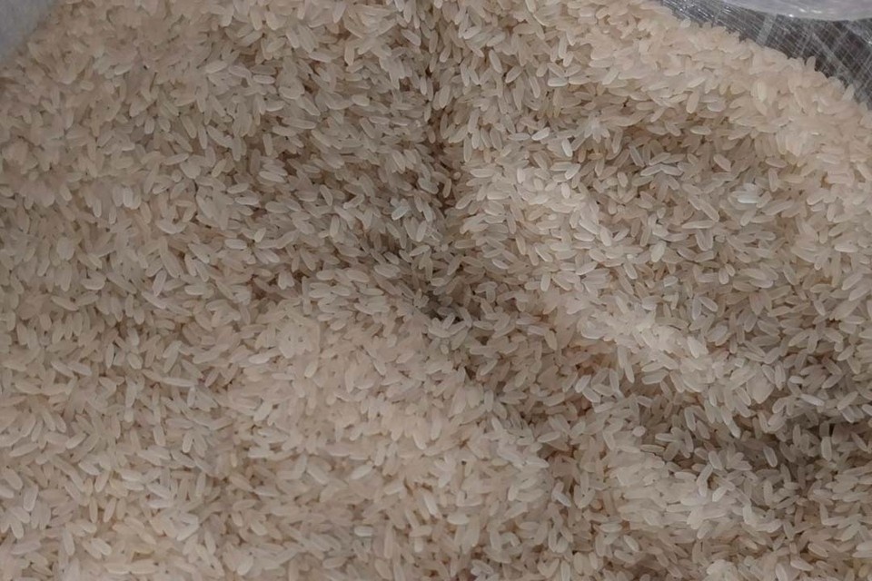    Сорняк обвивает соседние растения и тормозит их рост. Фото: Россельхознадзор по Северо-Западу