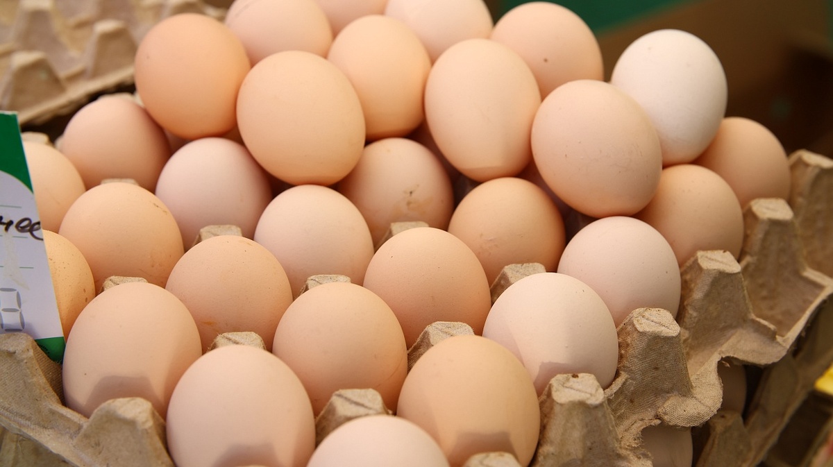     Фото: Станислав Телеховец