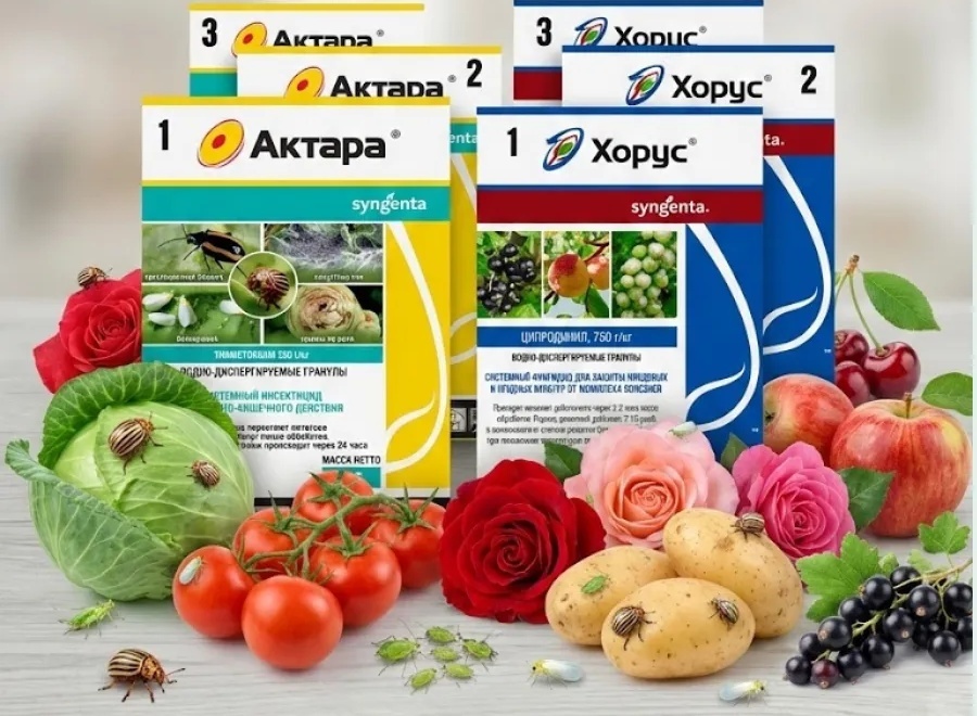 Фото для статьи