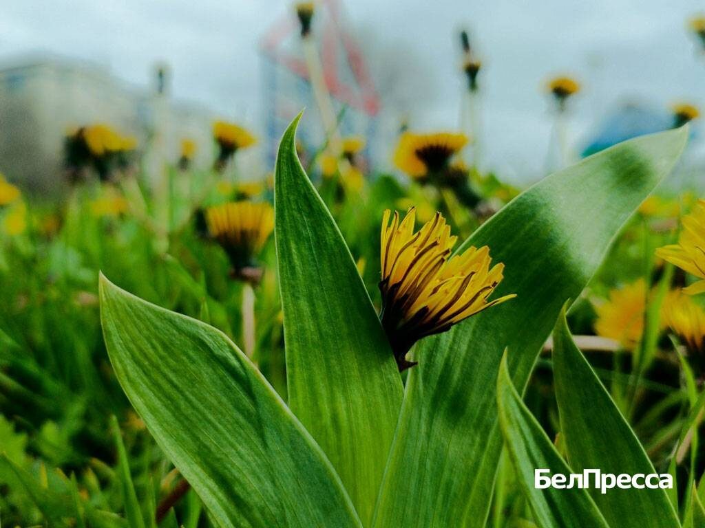     Фото: Марина Кудлаева