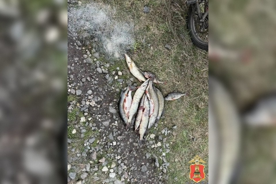    Такие рейды по выявлению случаев браконьерства проводятся регулярно. Фото: МВД Тверской области.