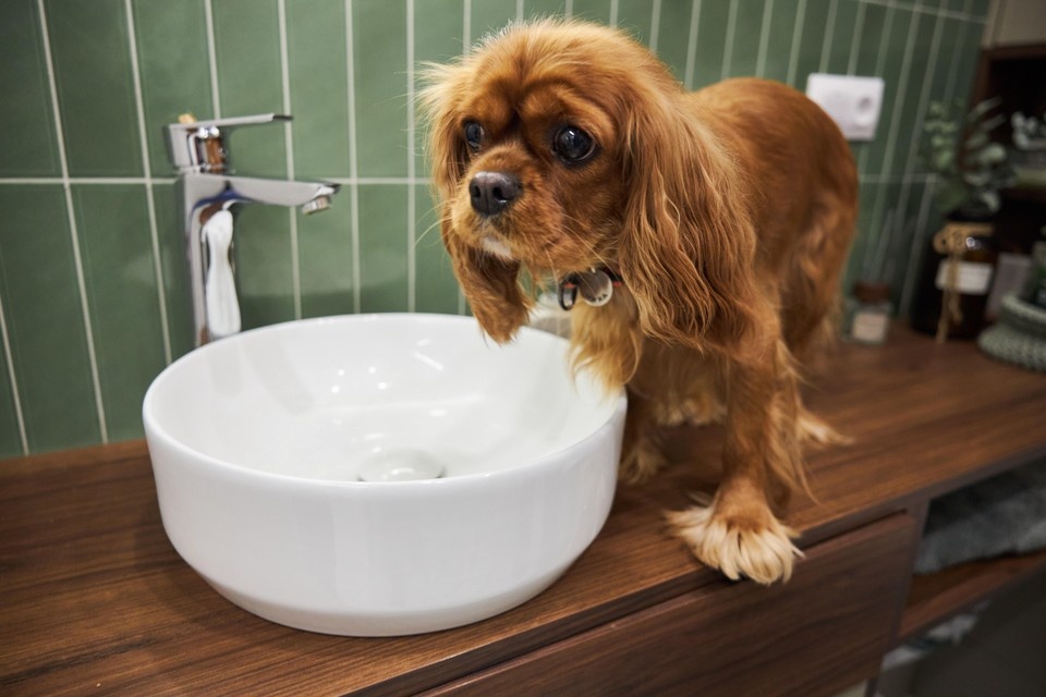    Отключать горячую воду начнут после завершения отопительного сезона. Николай ОБЕРЕМЧЕНКО