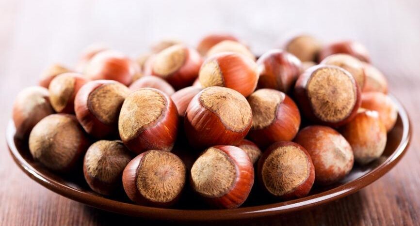    Ingram Publishing / Фотобанк Лори