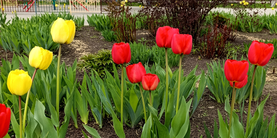 Ещё эти холода не отступили, а уже новые на подходе