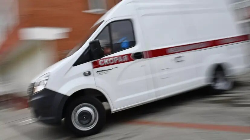    Источник: russian.rt.com Вероника