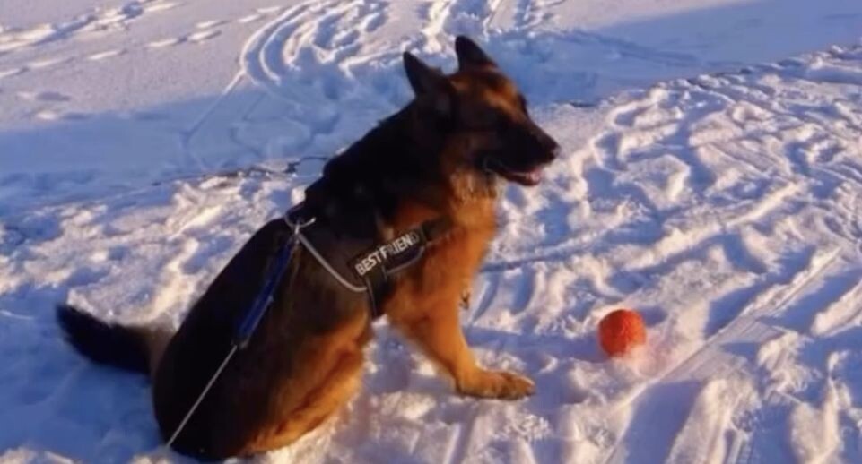    Страница в Инстаграм* @astro.audit/*запрещенная в России соцсеть; принадлежит компании Meta, признанной экстремистской организацией и запрещенной в РФ