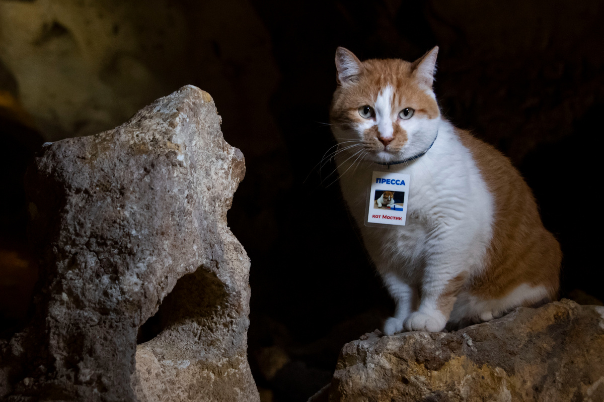 Меня видно или глазами подсветить?