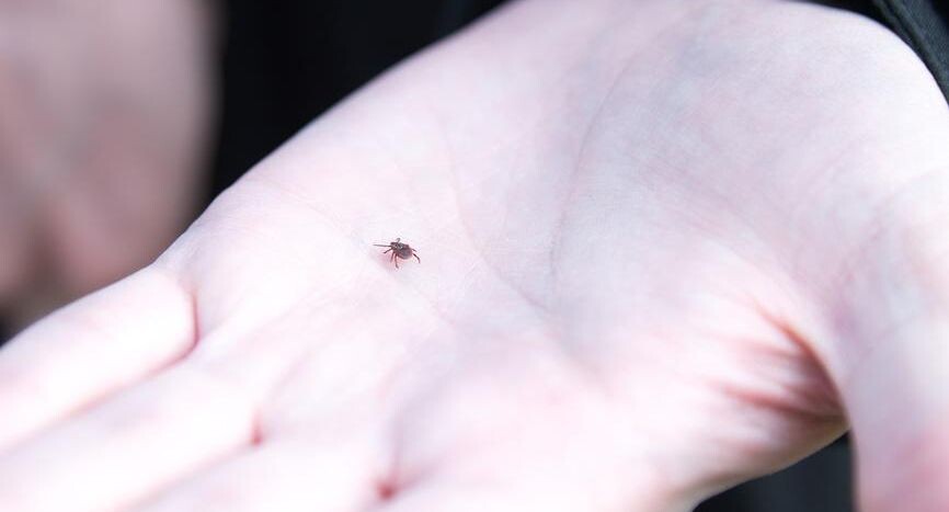    Елена Коромыслова / Фотобанк Лори