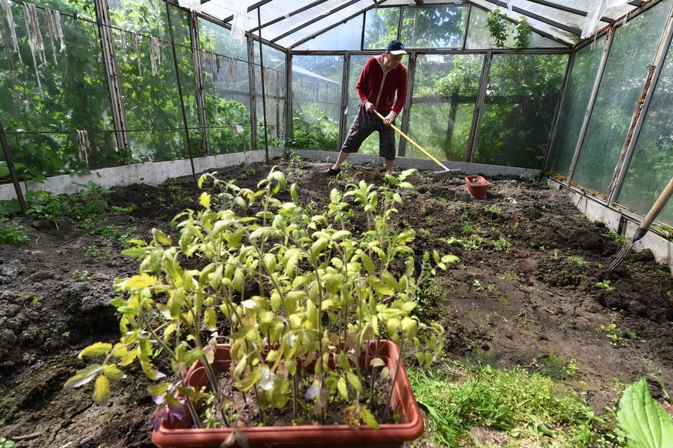    Мошенники стали рассылать дачникам фейковые ссылки на оплату штрафов Владимир ВЕЛЕНГУРИН