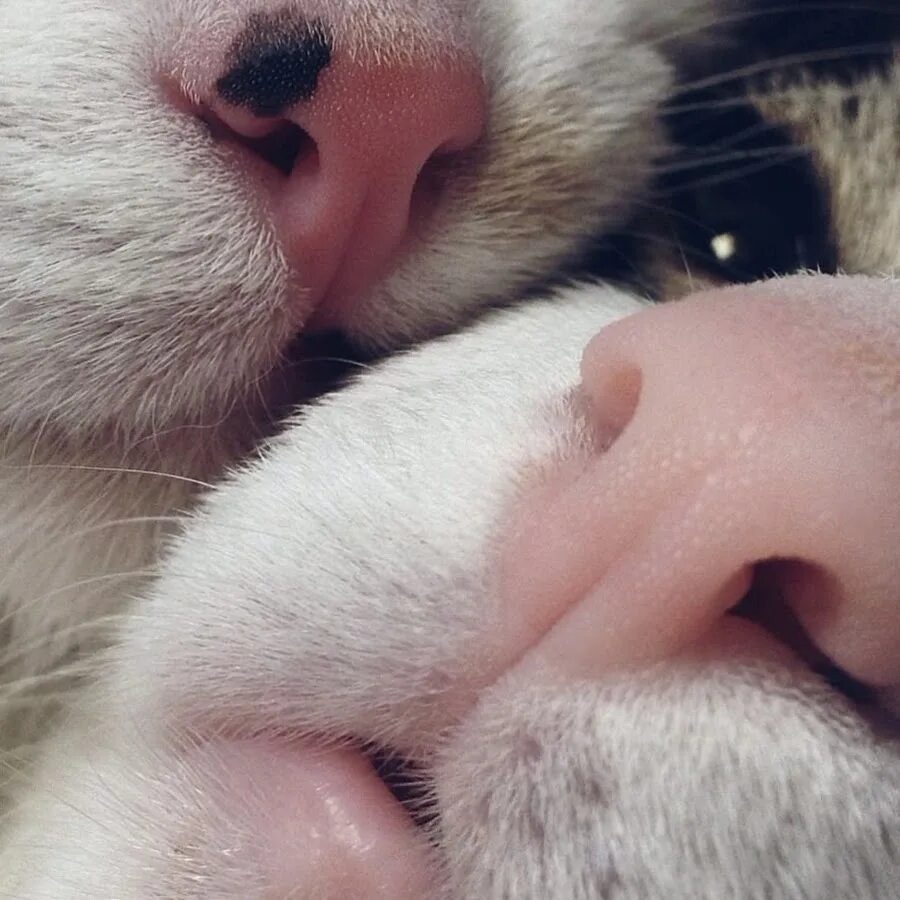 источник Яндекс-картинки