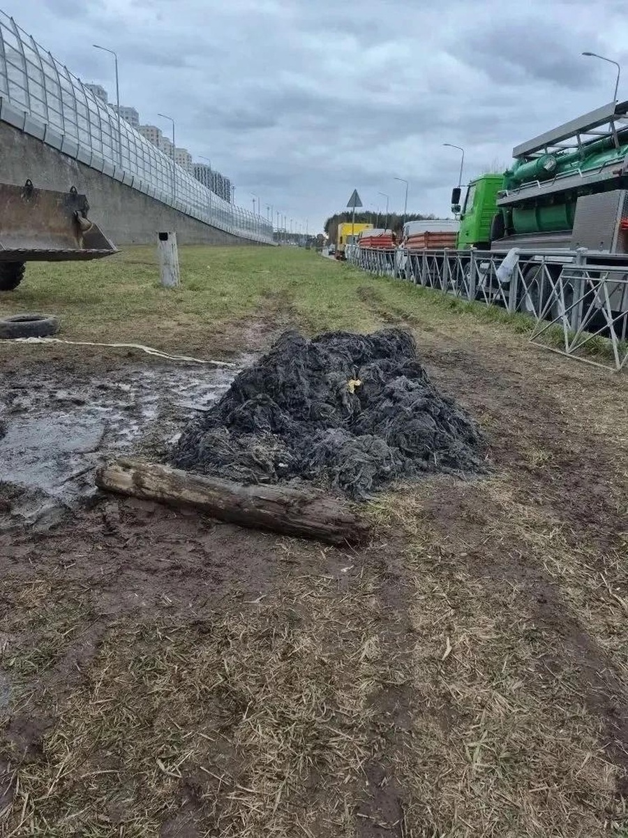    Фото: ГУП «Водоканал Санкт-Петербурга»