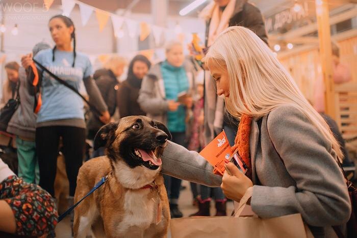 Фото © Ксения Райкова