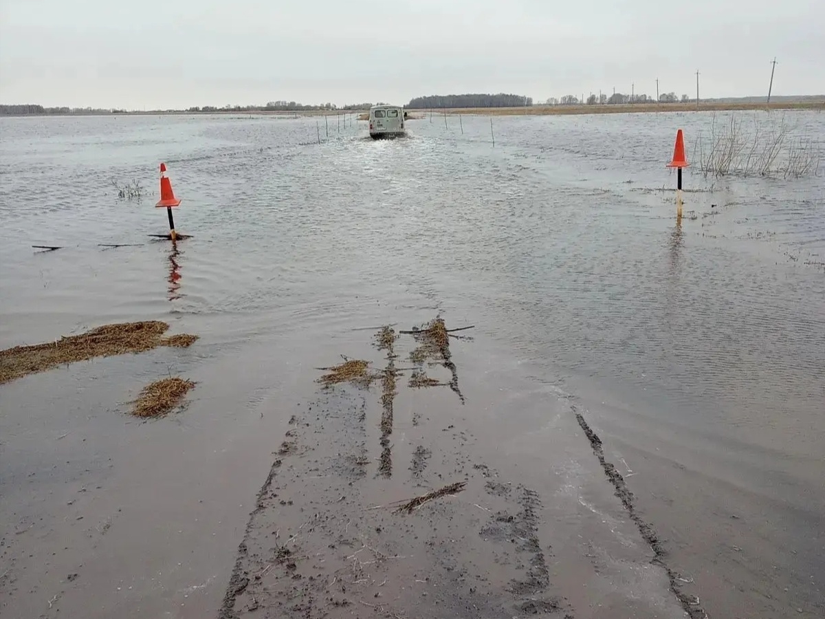    Фото: ТУАД НСО