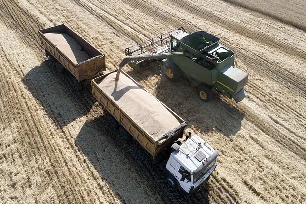    Источник: lenta.ru/ Филипп Щербаков