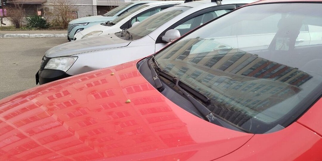 На 12 процентов за год сократился рынок каршеринга в Краснодаре