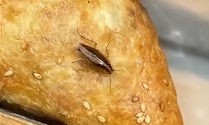 Обложка © Telegram/ SHOT ПРОВЕРКА