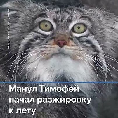 Ни на что не намекаю