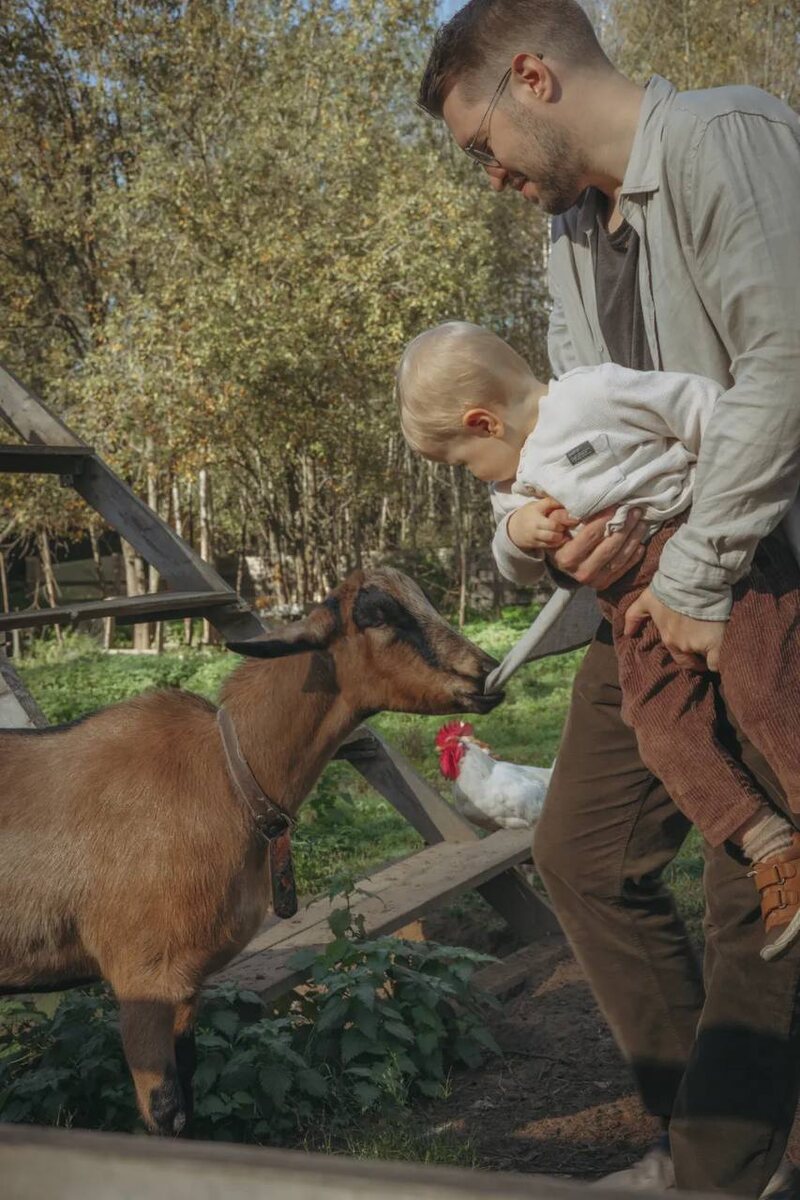 Ферма с домиками в Подмосковье. Под кронами