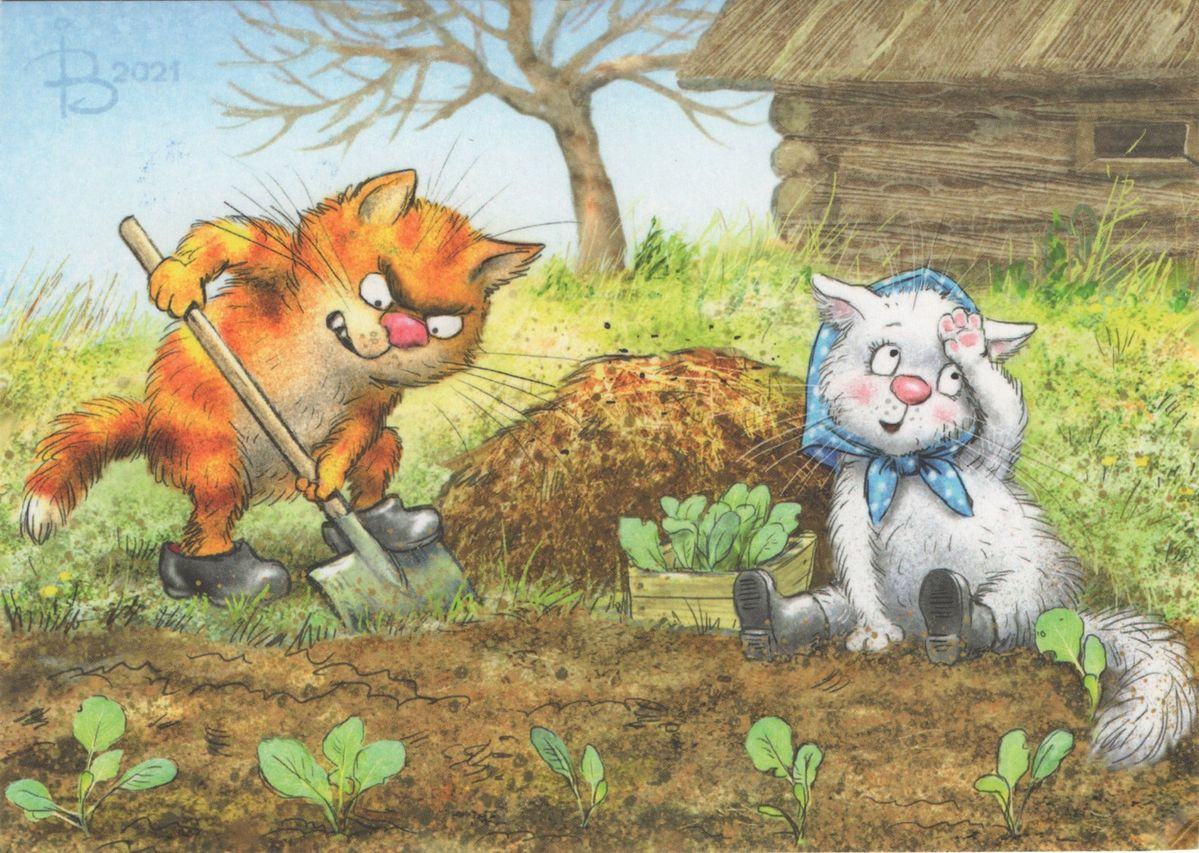 очаровательные коты Рины Зенюк