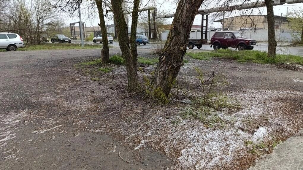    Волгоградцы увидели снег в конце апреля   novostivolgograda.ru