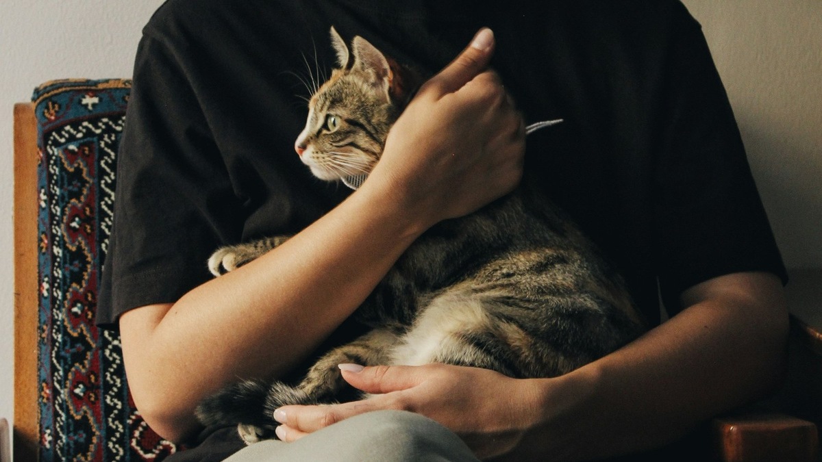    Точное время рождения — ключевое, но часто недоступное условие для карты животного