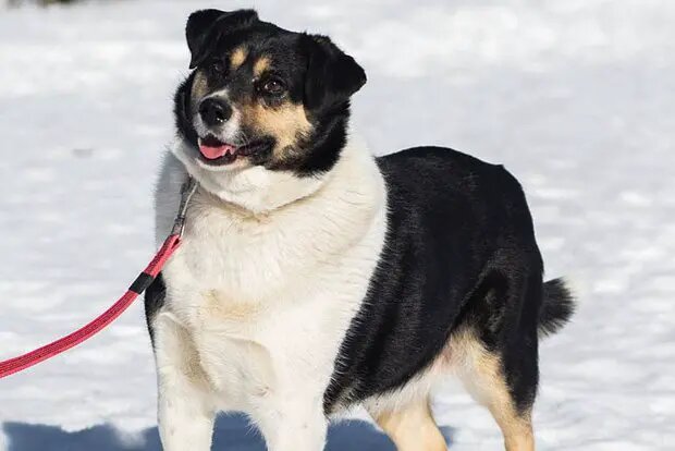    Источник: lenta.ru/ Руслан Титов