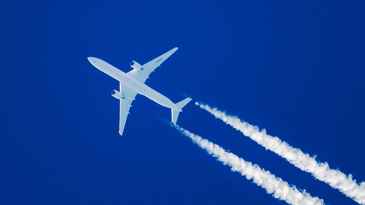    Источник: vm.ru/ Дмитрий Смирнов