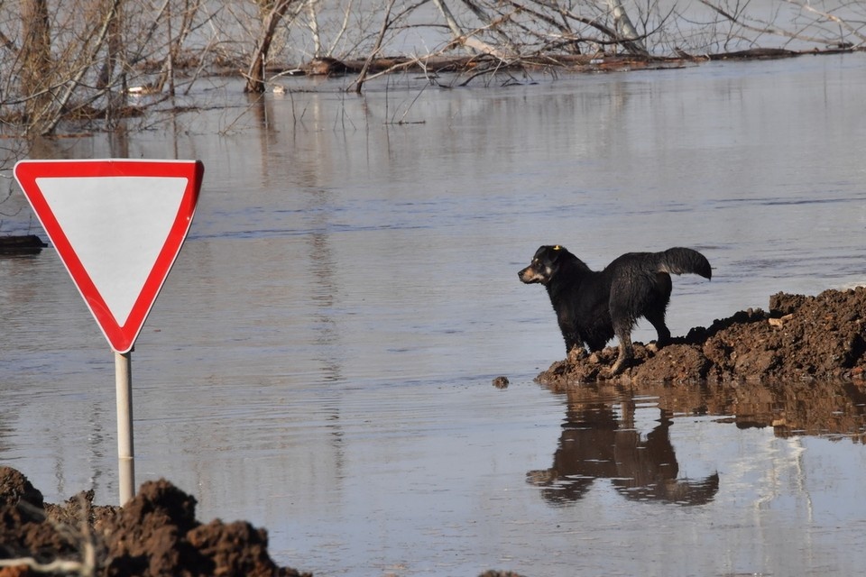    Штормовое предупреждение действует для района поселка Гавриловский до 28 апреля. Владимир ВЕЛЕНГУРИН