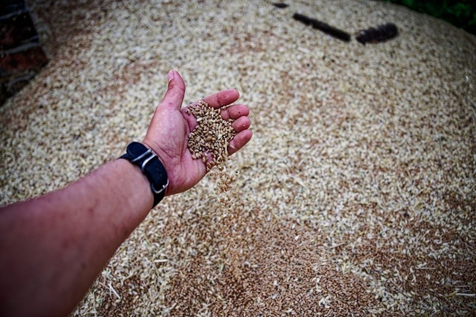    Прокуратура Каланчакского района в ходе проверки выявила факт незаконного получения государственной поддержки Иван МАКЕЕВ