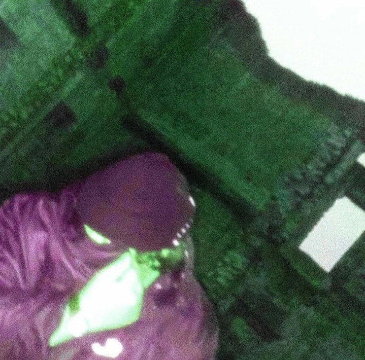 Взято из открытого источника. 