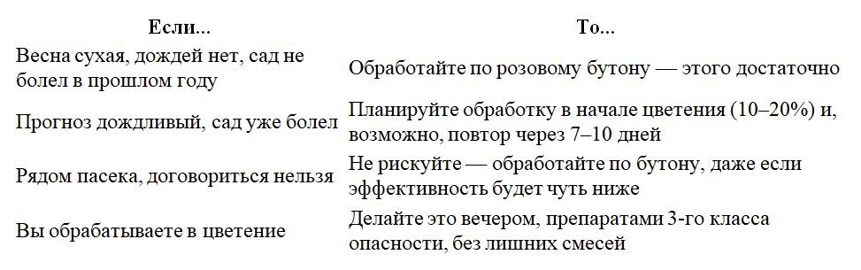 Таблица и фото Натальи Мироновой