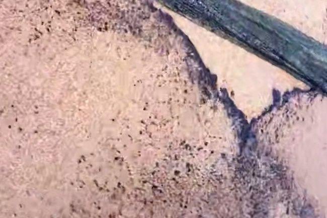 Туроператоры не увидели предпосылок для срыва туристического сезона в Туапсе