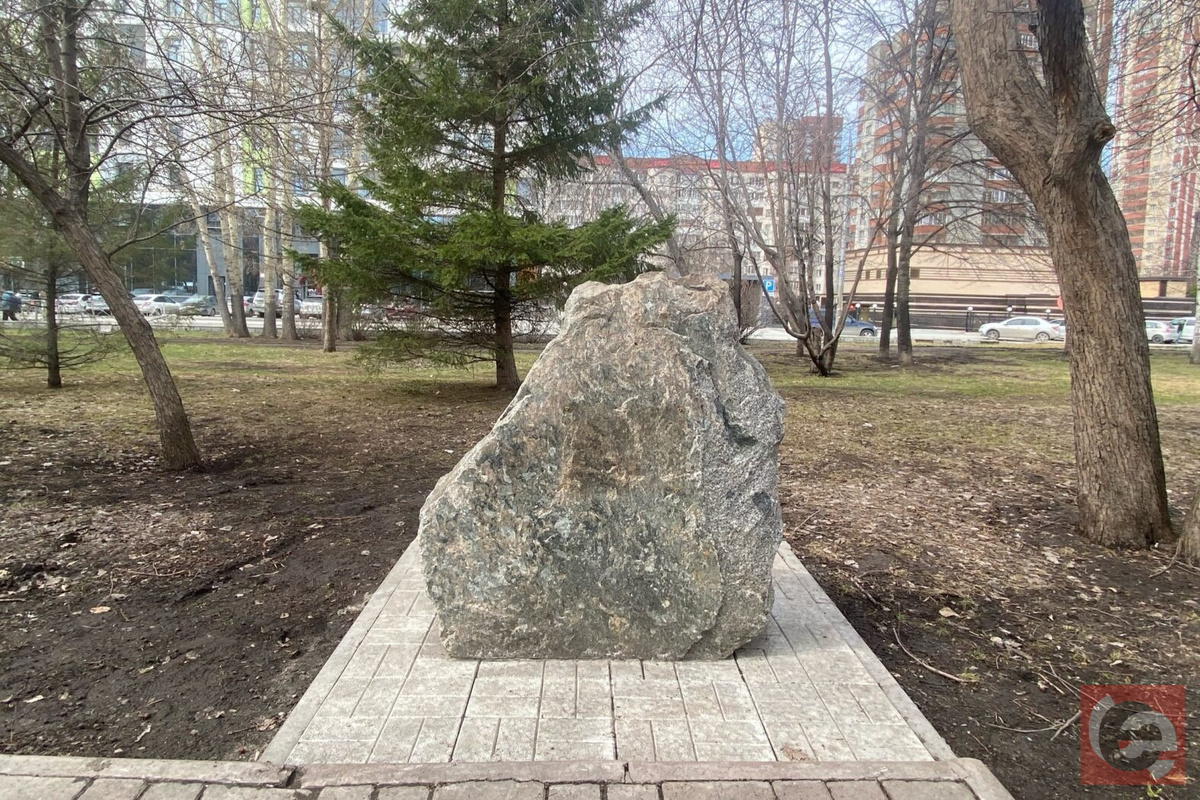    Фото: Прецедент