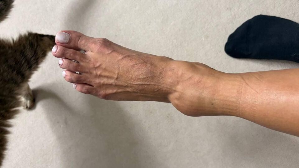    Телеграм-канал @bonyaviktorya