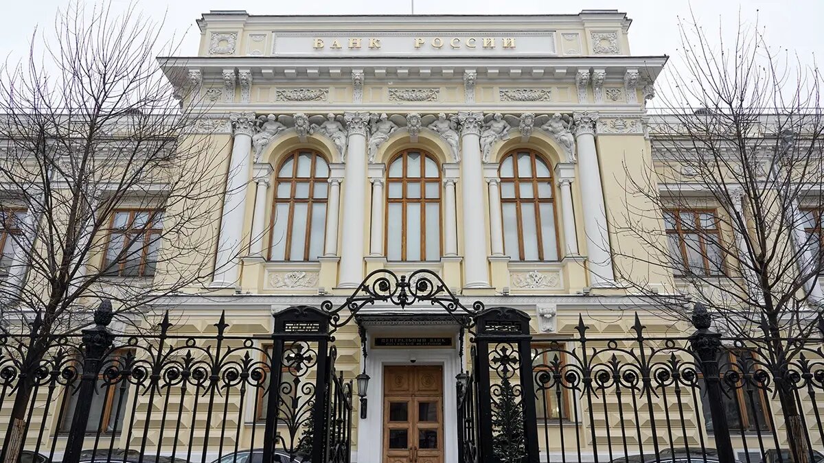    Источник: vm.ru/ Александр Новиков