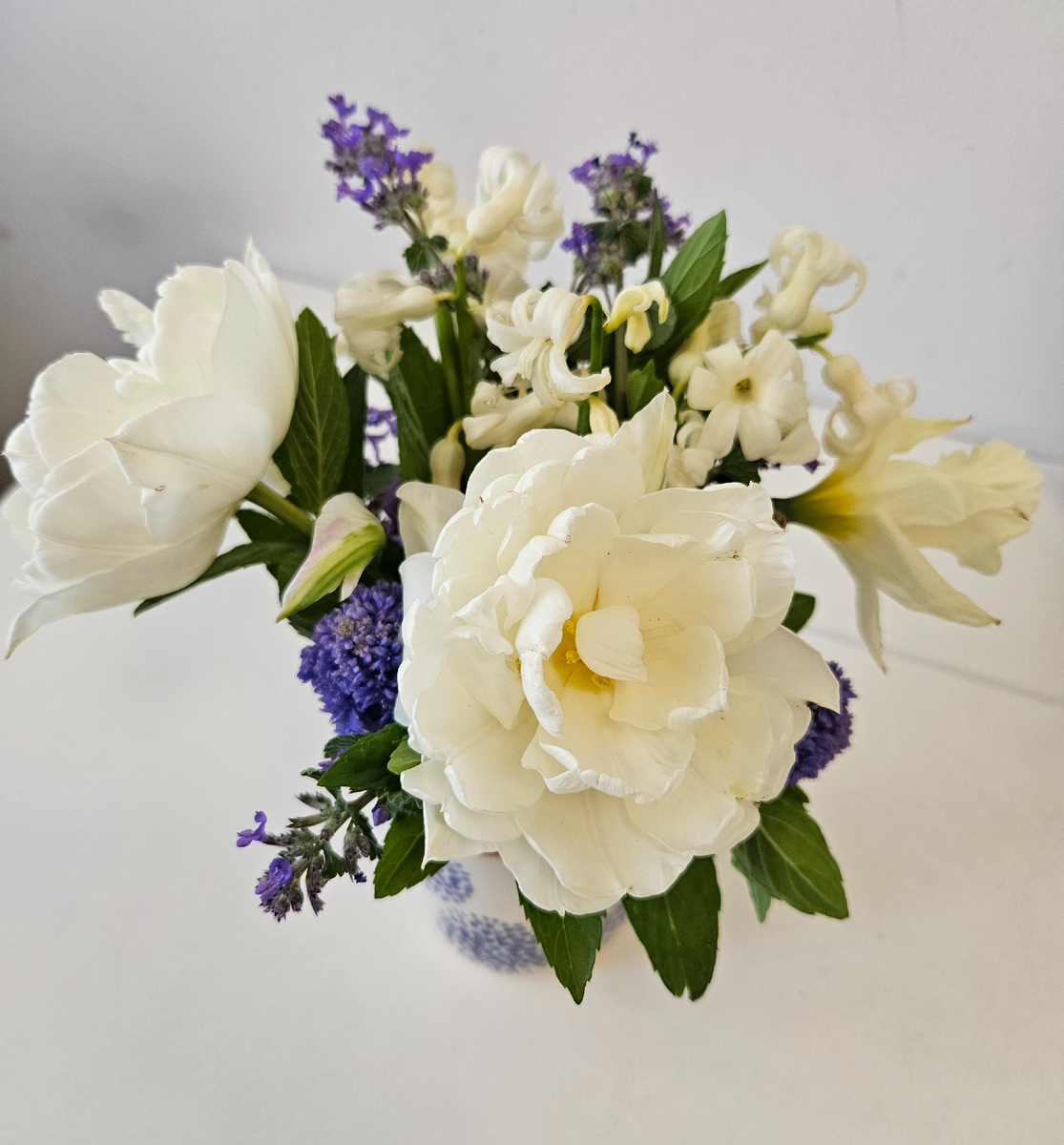 Солируют тюльпаны