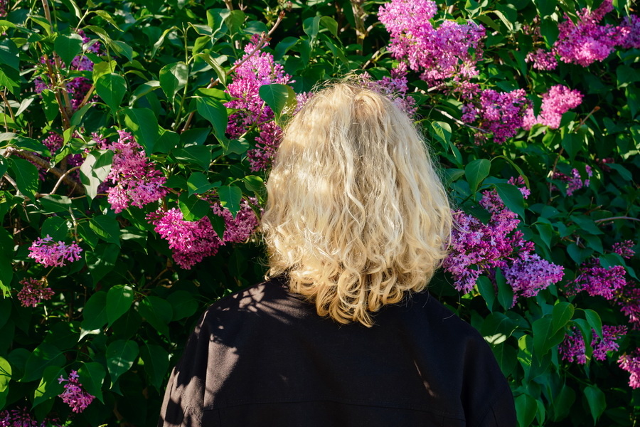 Фото из интернета в свободном доступе