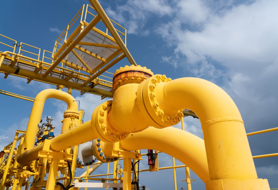    Shutterstock/FOTODOM