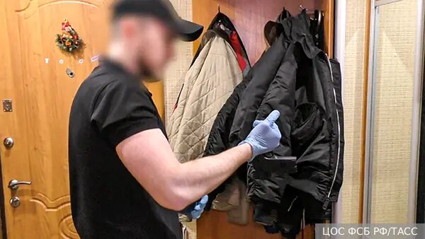    Источник: vz.ru/  Алиса Седова