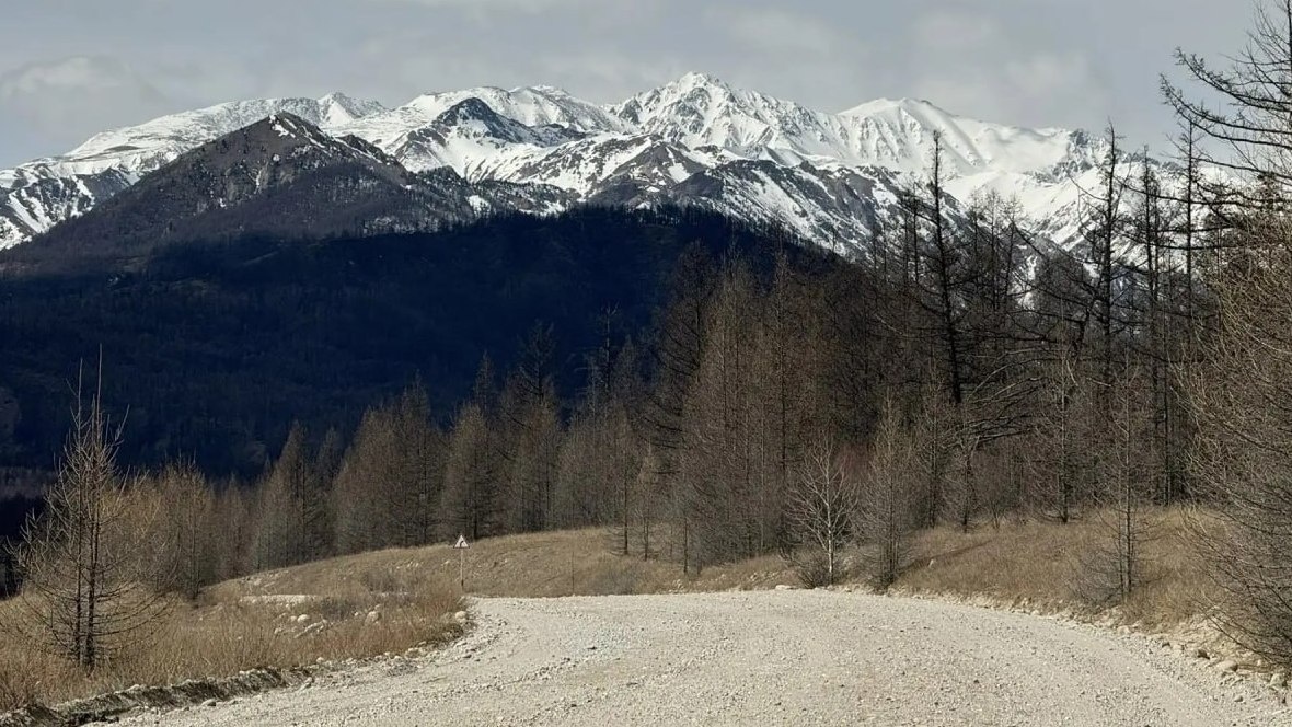    Соцсети / СУ СКР по Бурятии