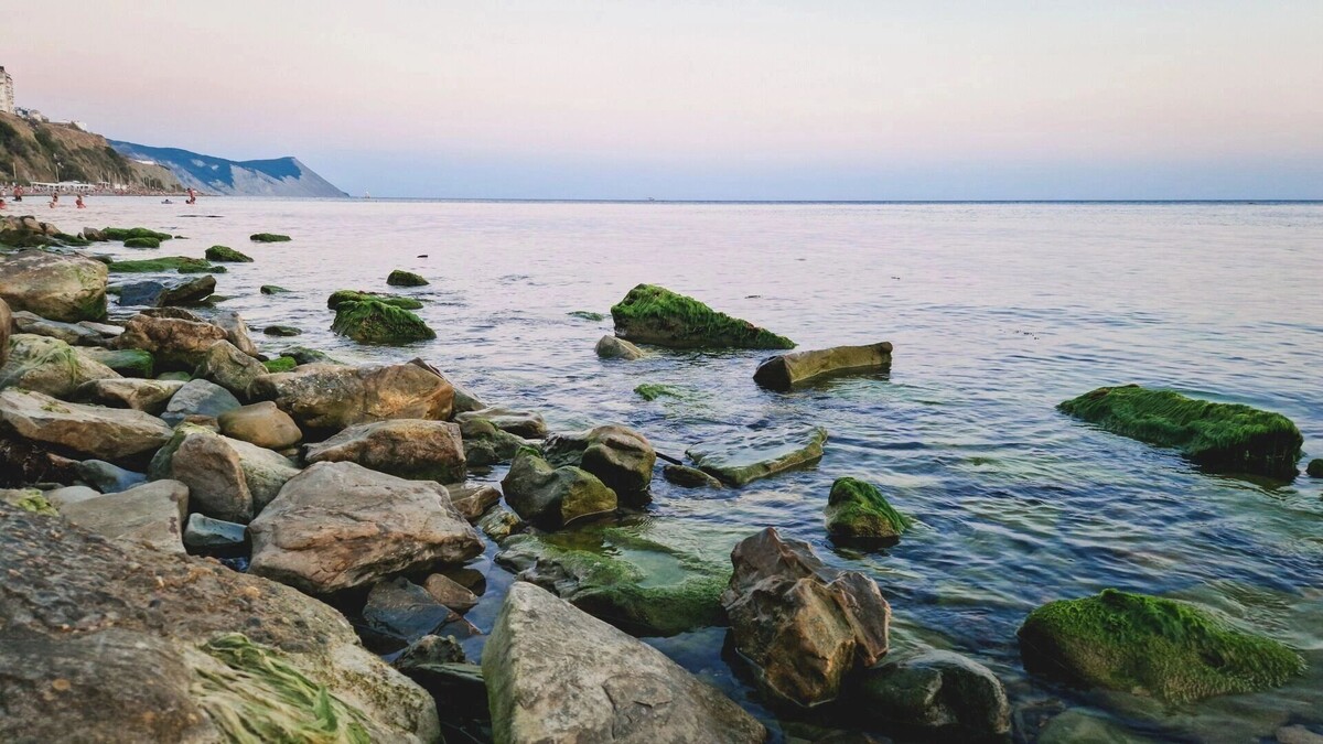    Экологи бьют тревогу: нефтепродукты вновь обнаружены в акватории Анапы   1MI