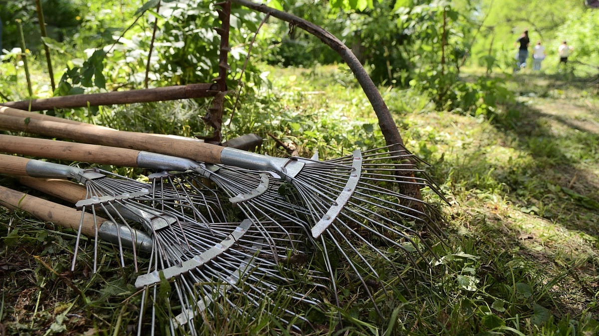     Фото: Александр Райко
