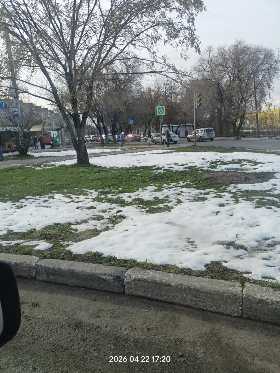 а вчера травка была покрыта снегом!