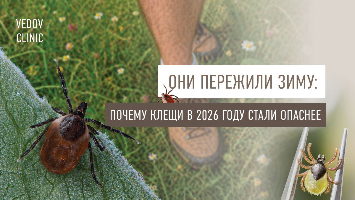 Они пережили зиму: почему клещи в 2026 году стали опаснее